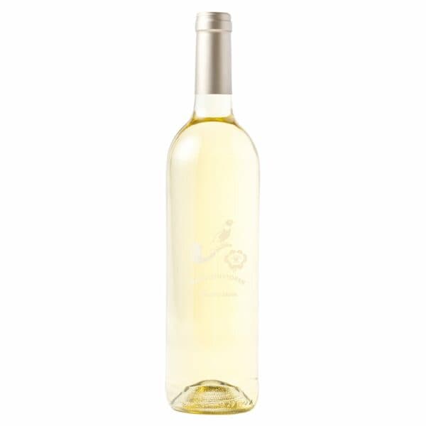  Babylonstoren Chenin Blanc 750ml